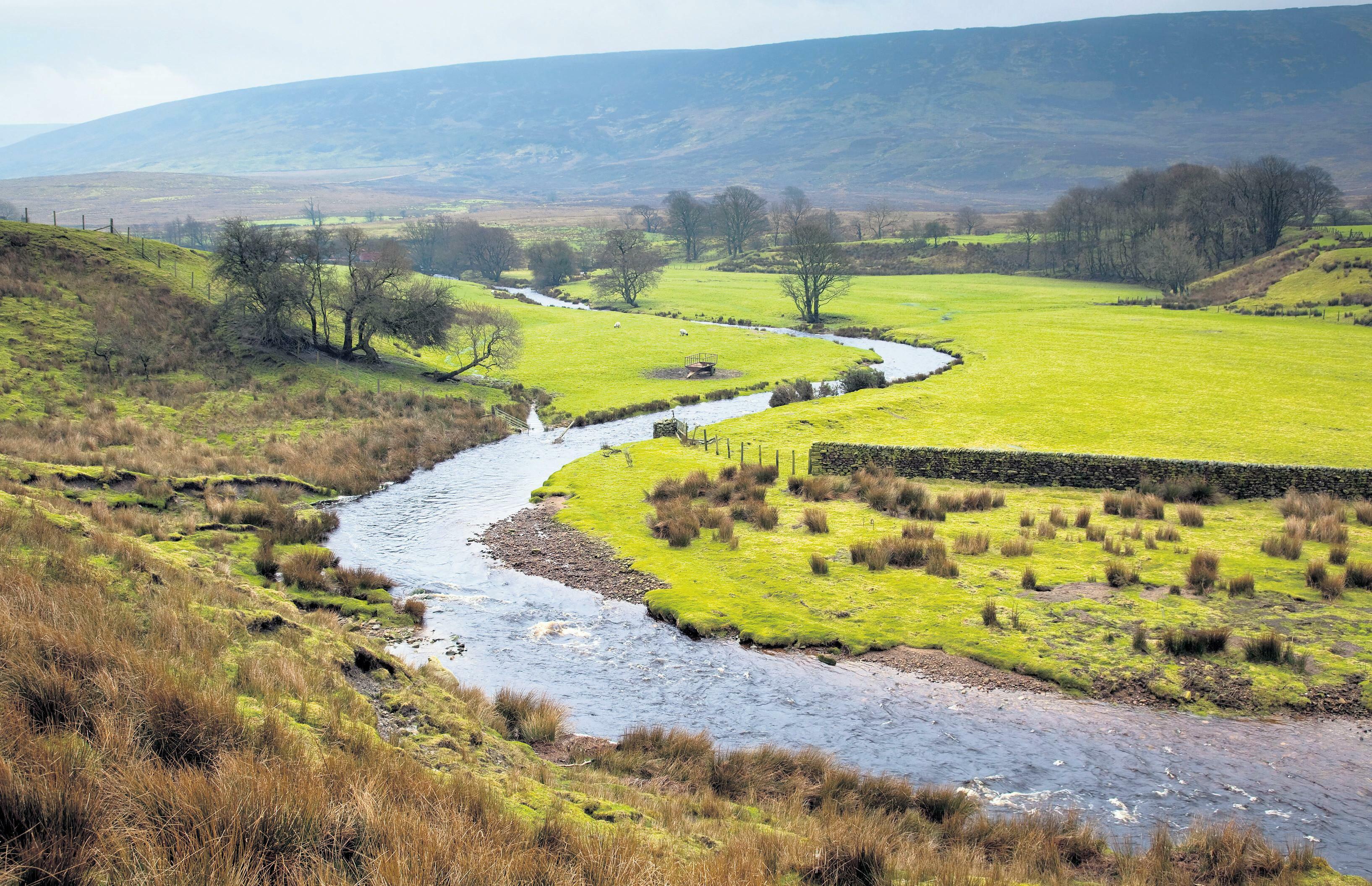 Industrial lobbying Plans for tighter regulation under attack