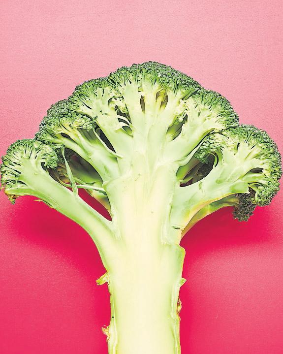 Mild weather likely to result in brassica shortage, say growers