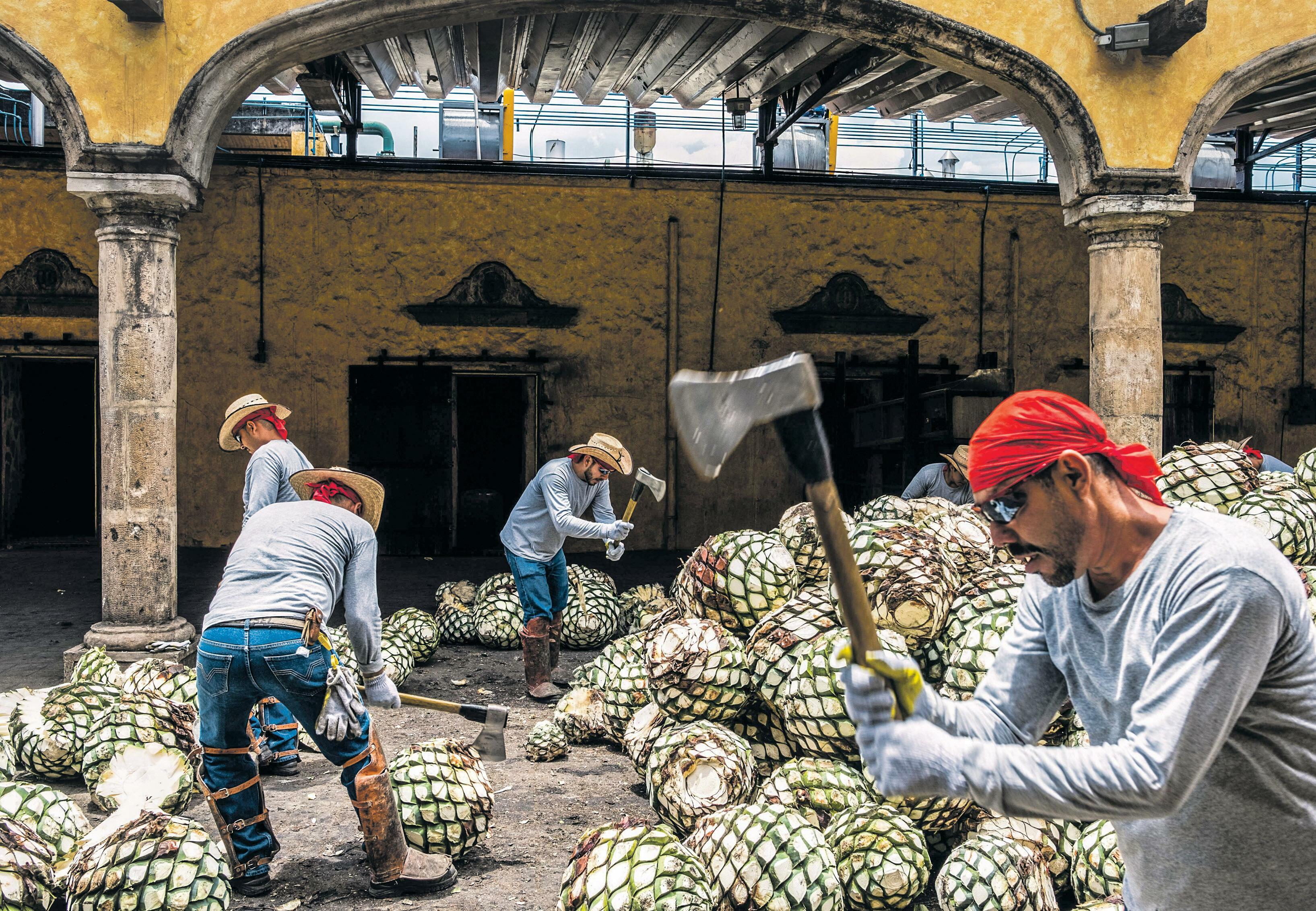 Retaliation: Mexico and Canada Vow to Hit Back with Levies on US Goods