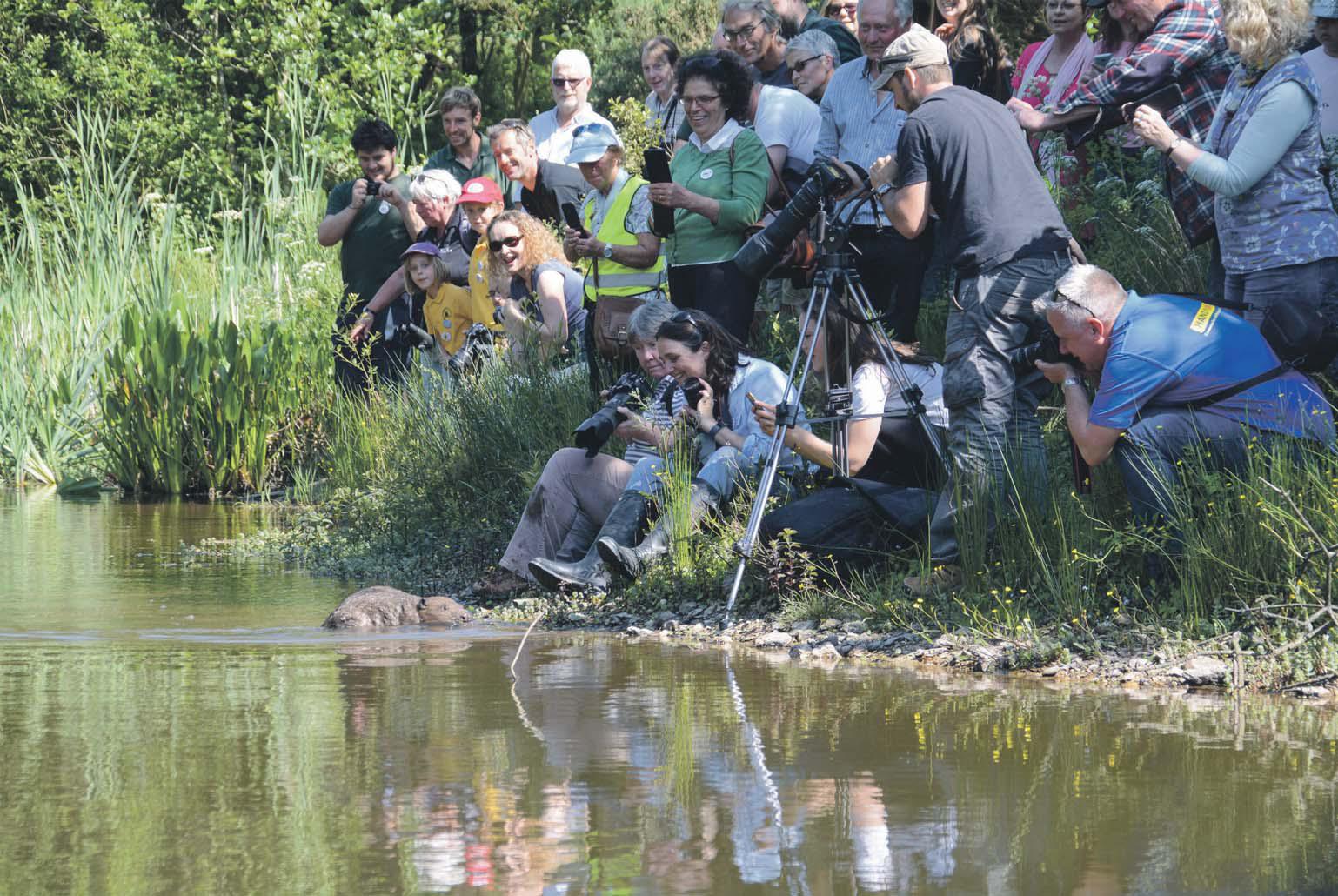 Give a dam Eager beavers are farmer's best friend whether in drought or flood