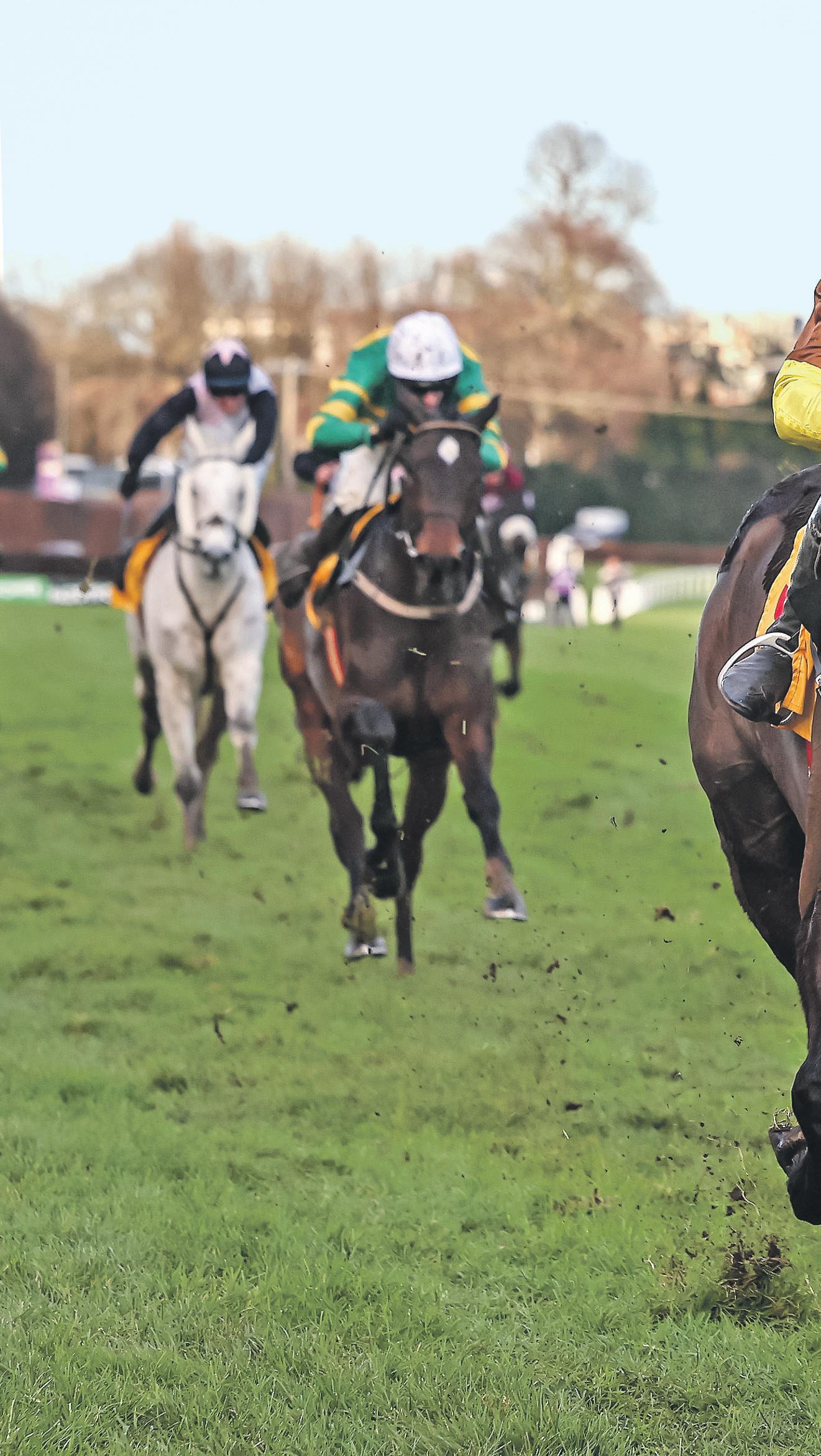 Galopin Des Champs Can Join The Greats With Third Gold Cup