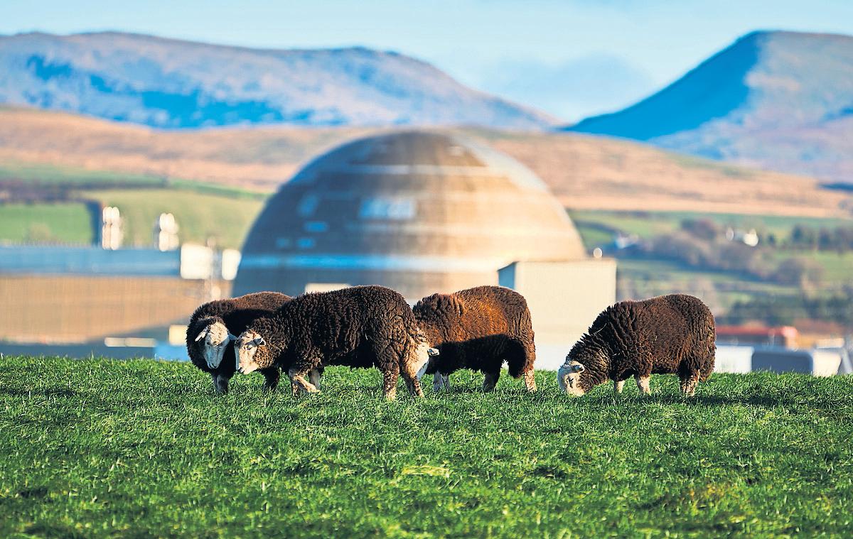 Nuclear staff who lift lid on safety issues face bullying, MPs warn