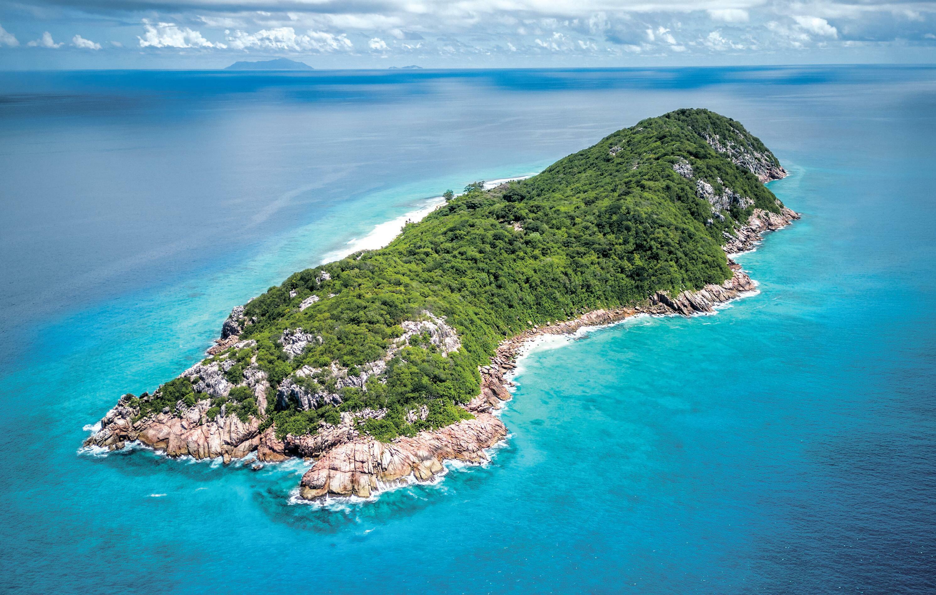 Delight as record numbers of endangered tree found on tiny Seychelles island