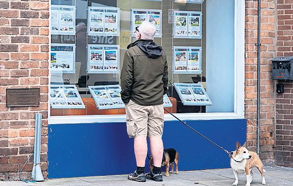 Removals firms tell of bookings chaos as stamp duty cutoff nears