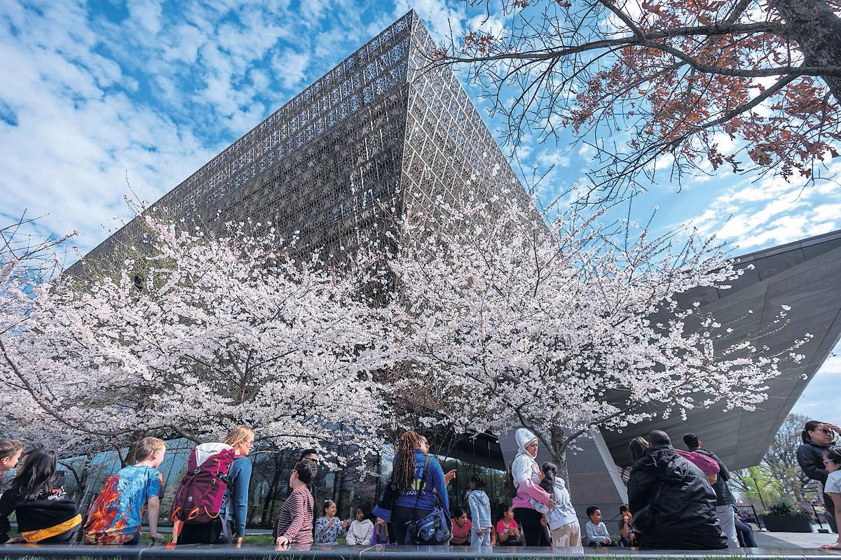 Trump issues order for removal of 'anti-American ideology' from the Smithsonian