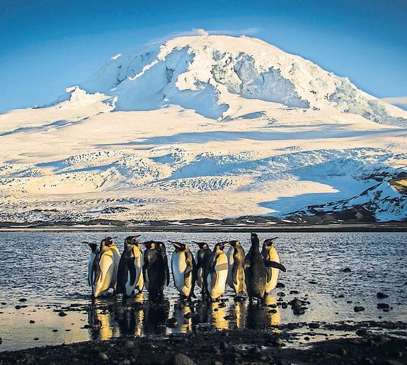 Antarctica Trump hits uninhabited islands with trade tariffs