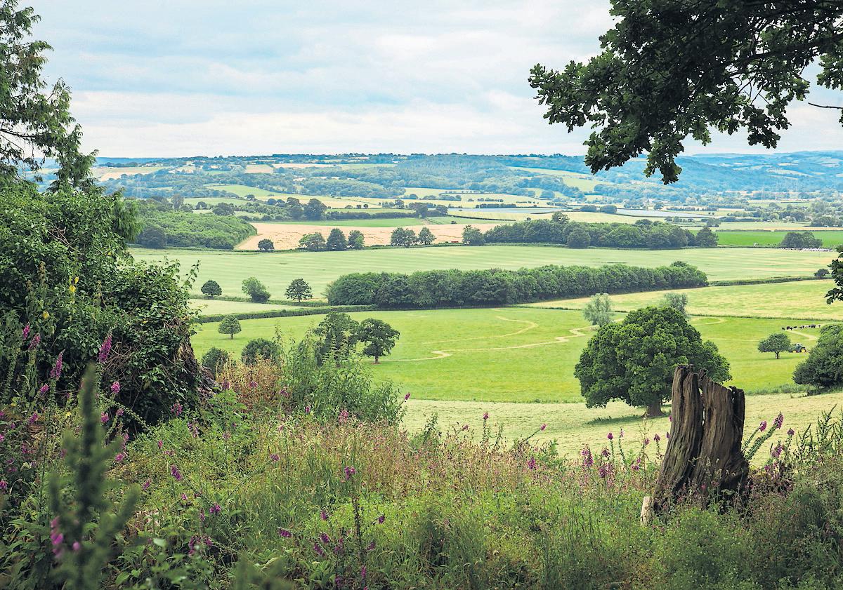 England's farmers fear they will be left unable to restore nature after funding freeze