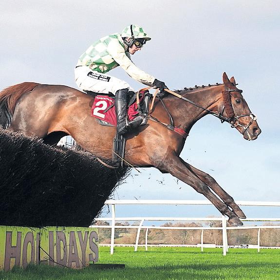 Celebre d'Allen dies days after collapsing at Grand National