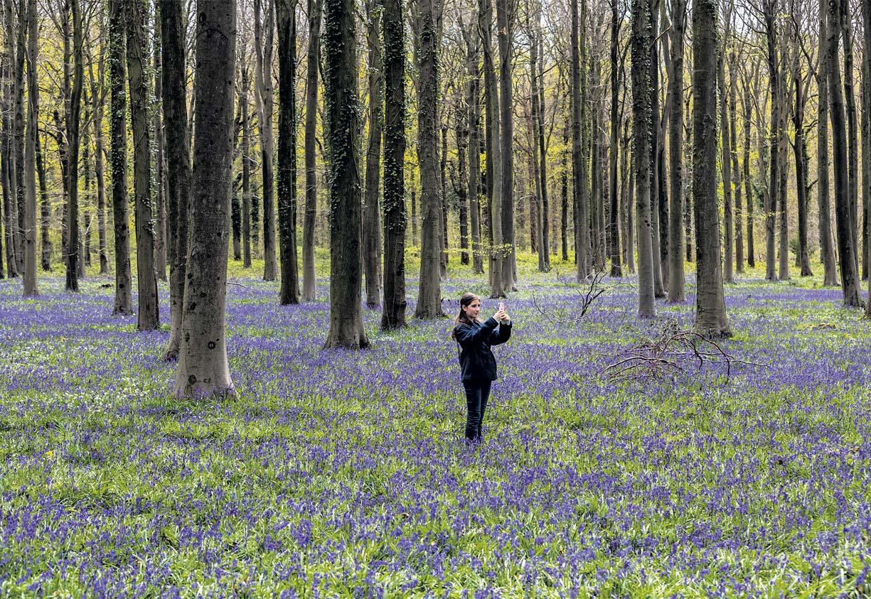 Cognitive decline 'lower in older people who use digital devices'