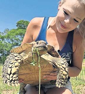 Owners reunited with 'tornado tortoise' after deadly storms