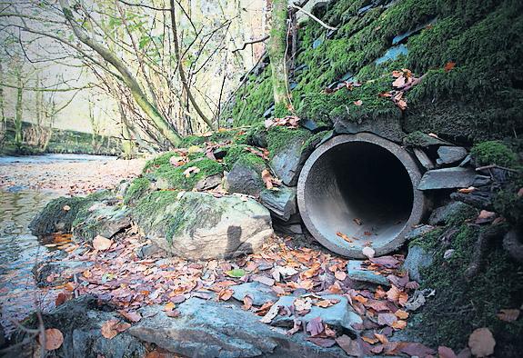 Water pollution cases in 2024 highest in a decade - report