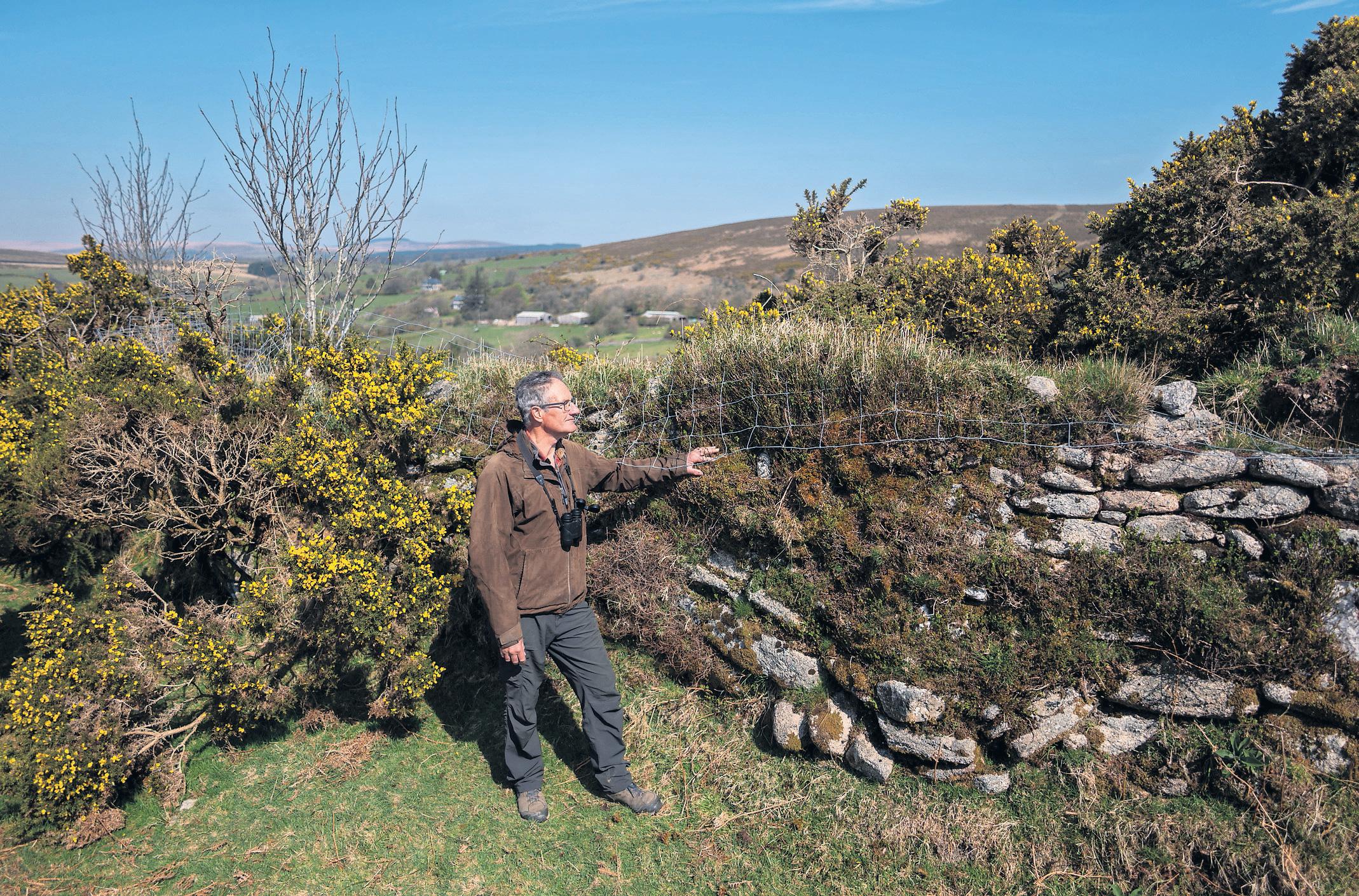 A beautiful task The re-creation of Britain's ancient hedgerow habitats