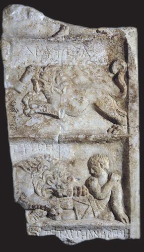 Bite marks found on York skeleton hint at gladiator's fight with lion