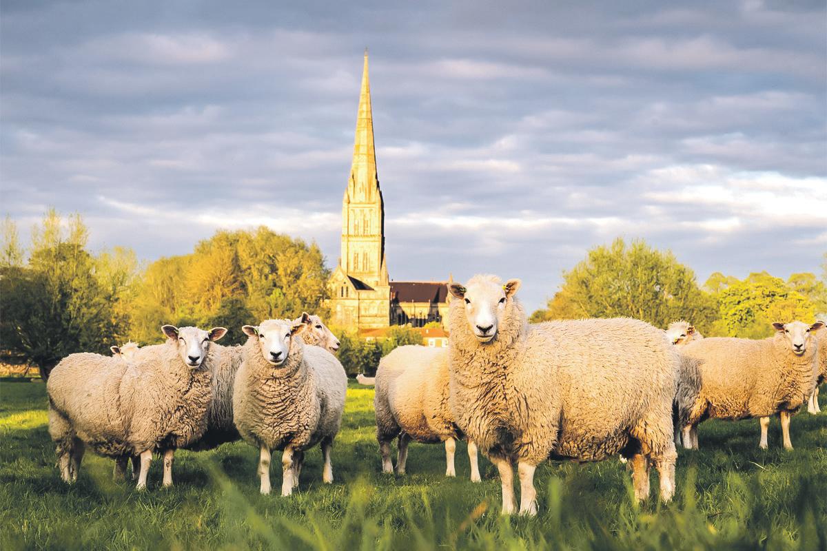 Crops 'failing in drought conditions' after driest start to spring in 69 years
