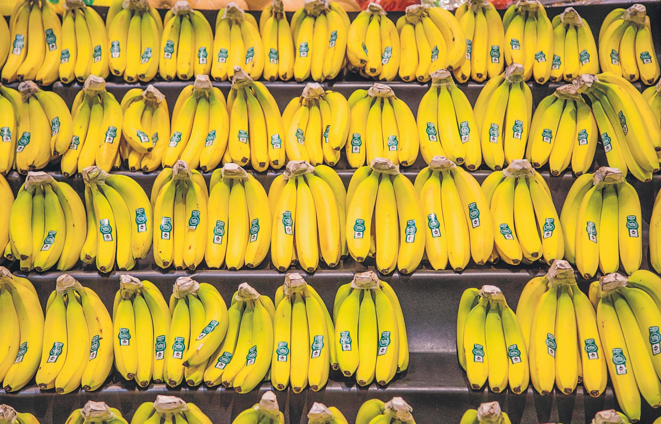 Slipping away: bananas under threat from climate crisis as extreme weather ruins crops