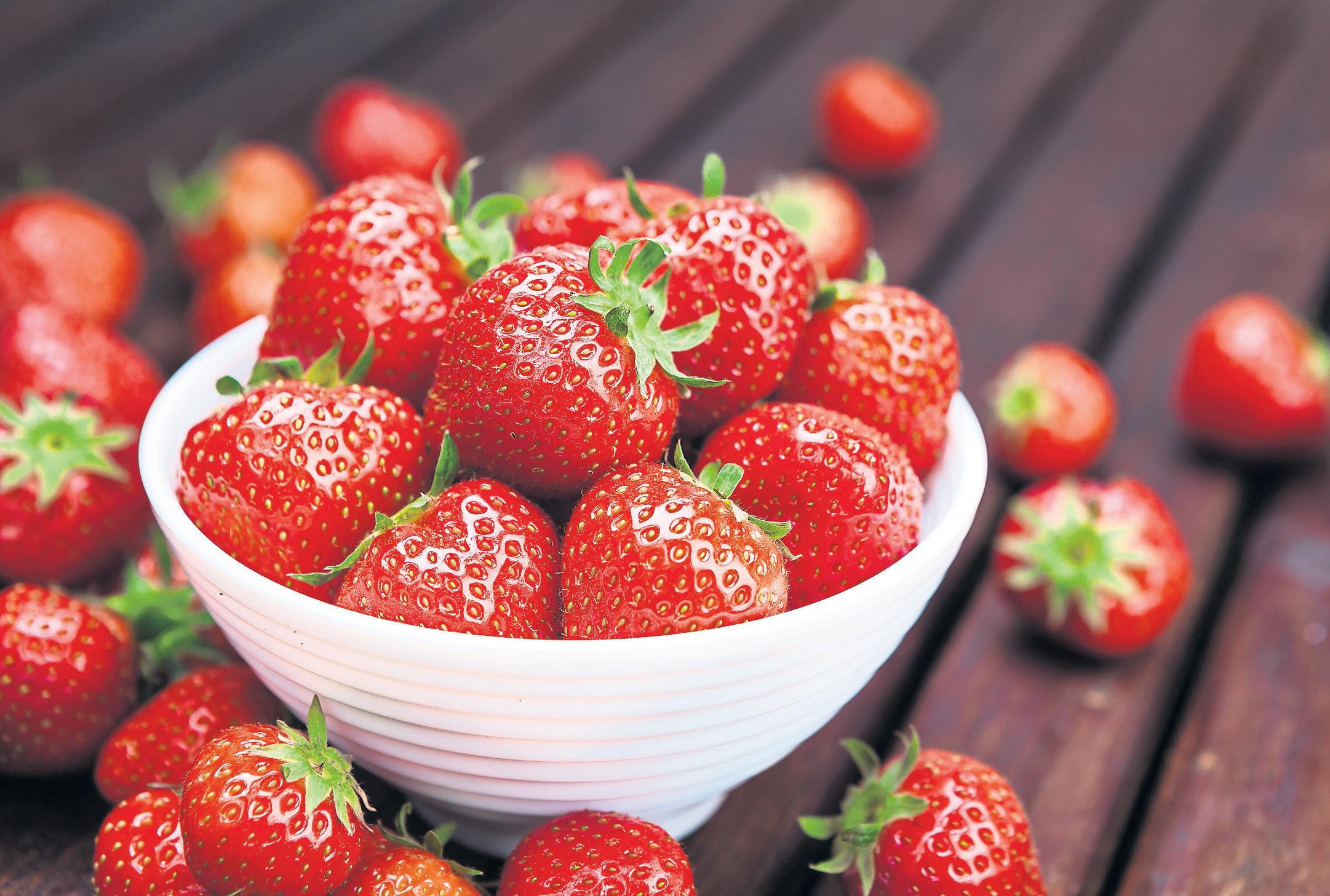 Berry big: sunny days and cool nights create huge strawberries