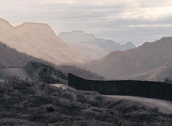 Expansion of border wall is threat to rare wildlife, say experts