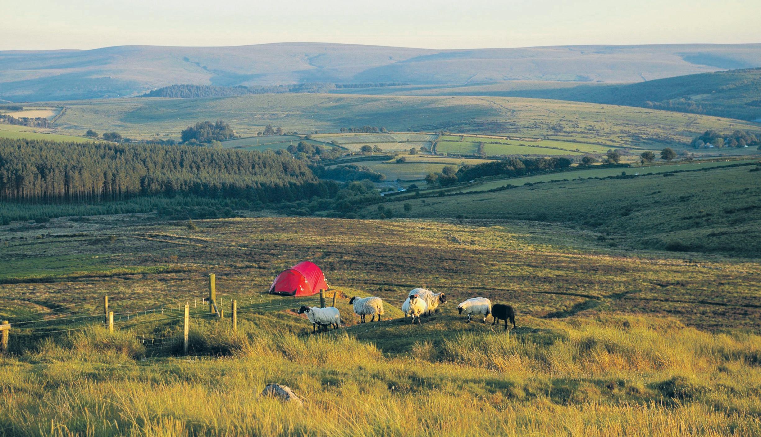 Supreme court rules that wild camping on Dartmoor is legal