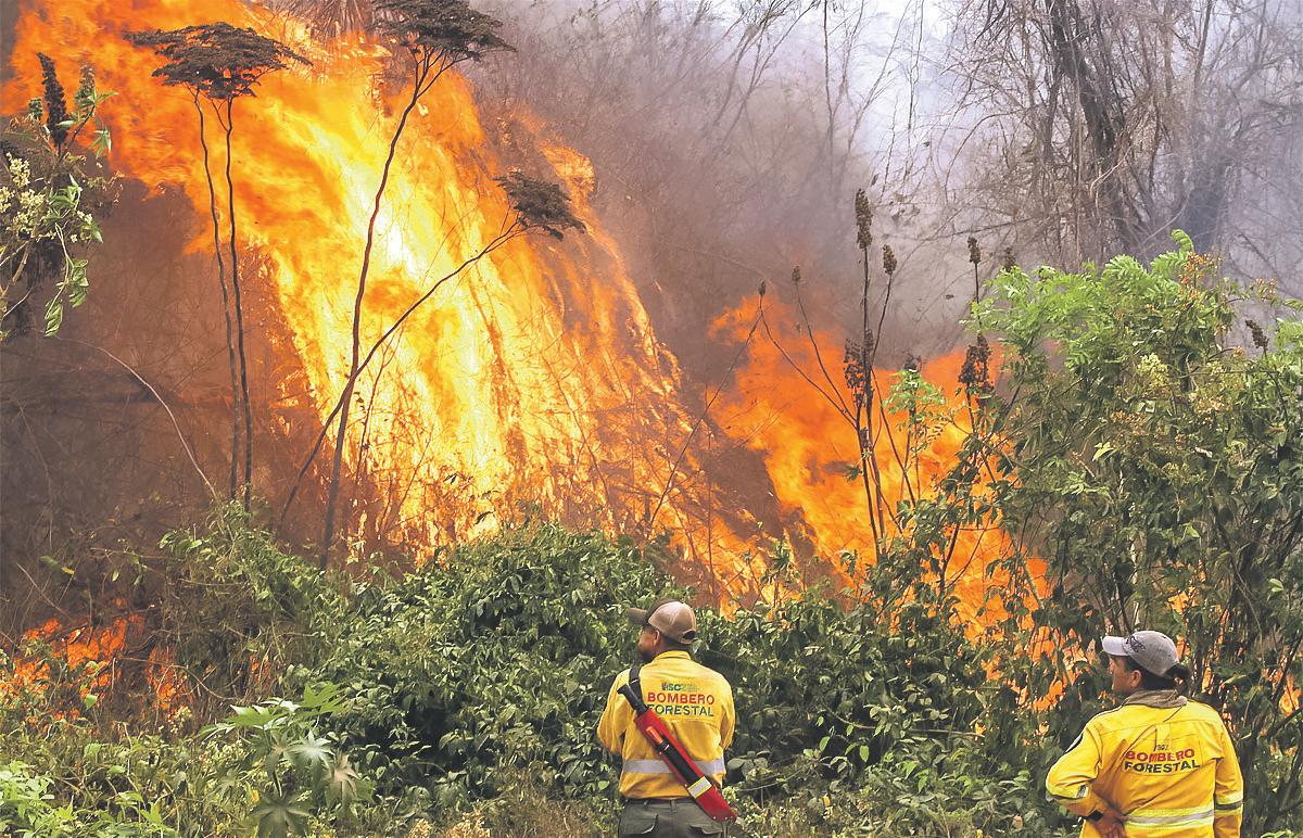 'Red alert': wildfires cause record forest losses in Bolivia