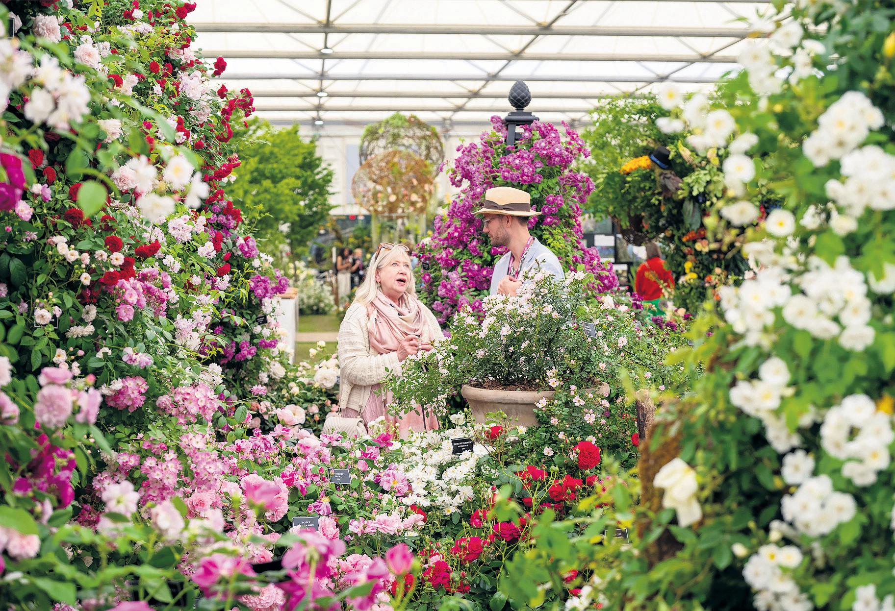 Less is More: Chelsea Experts' Tips on Gardening in Small Spaces