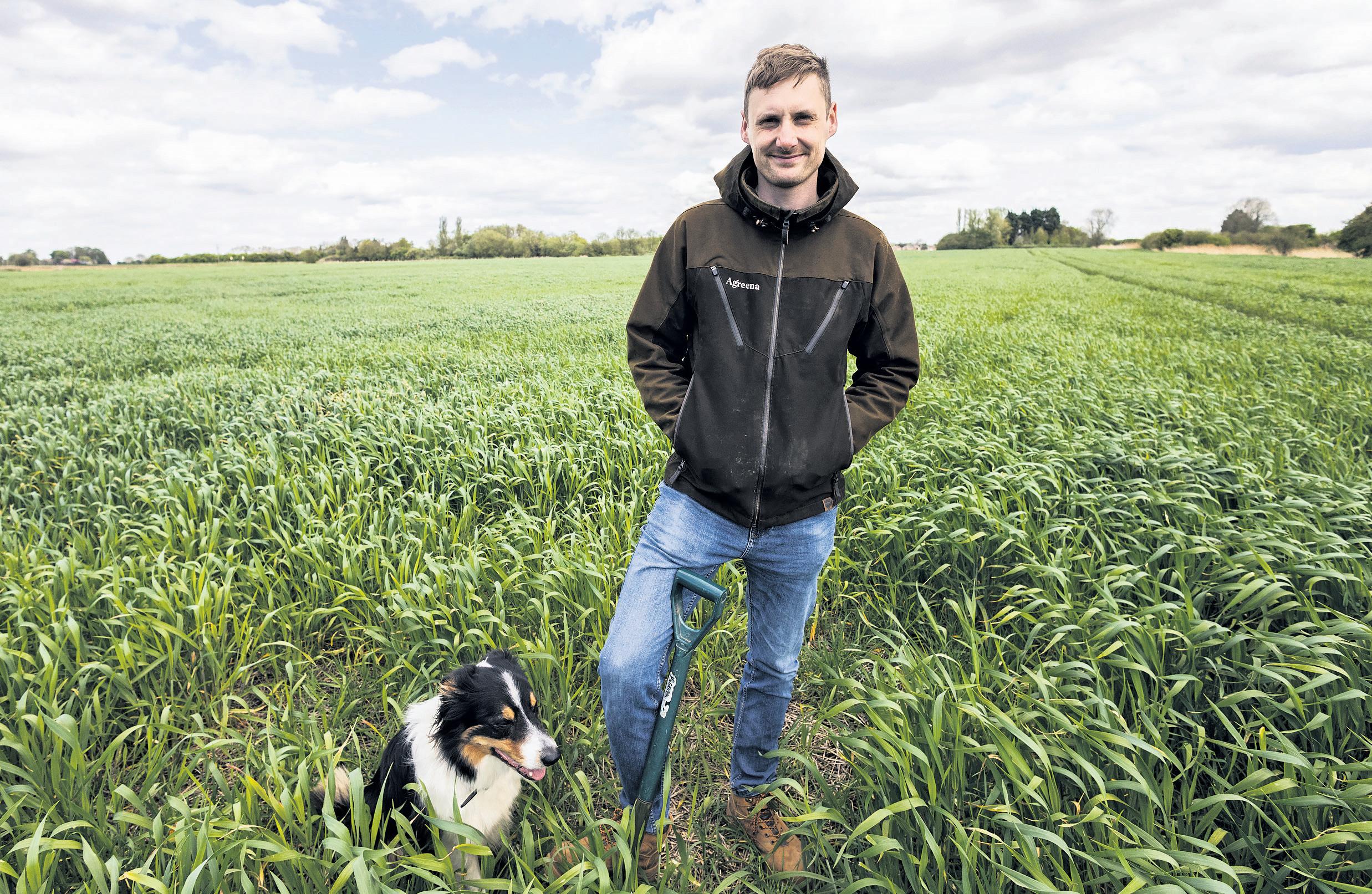 Rich harvest Farmers growing a return with soil carbon credits