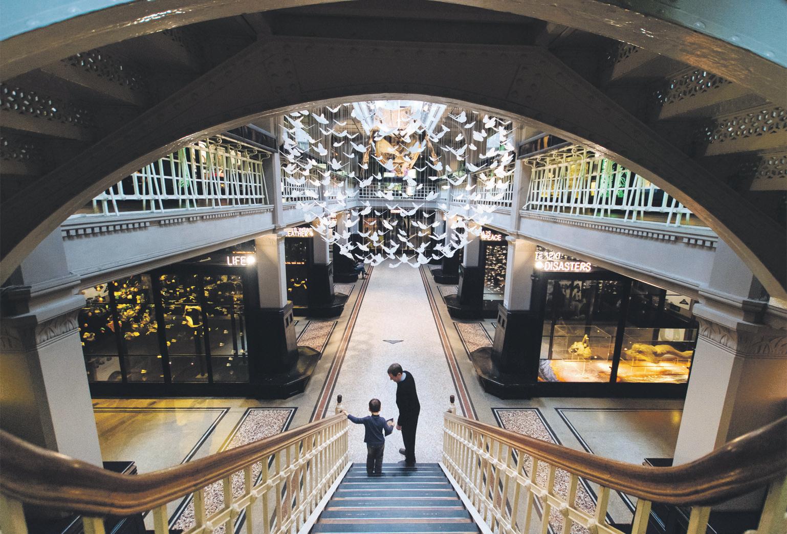 Manchester Museum boss 'gobsmacked' over top European award