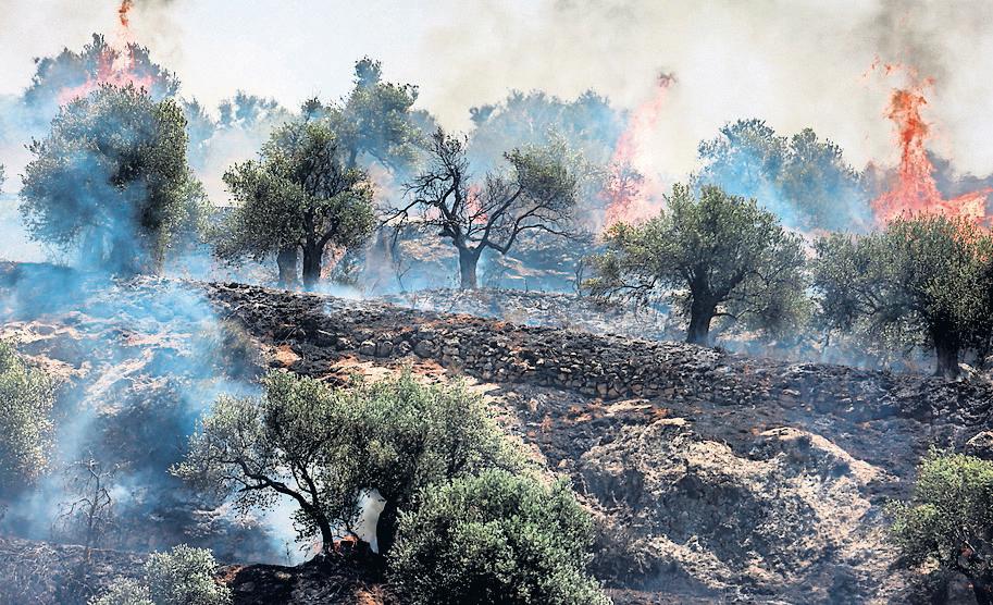 Israel Plans Sweeping West Bank Settlement