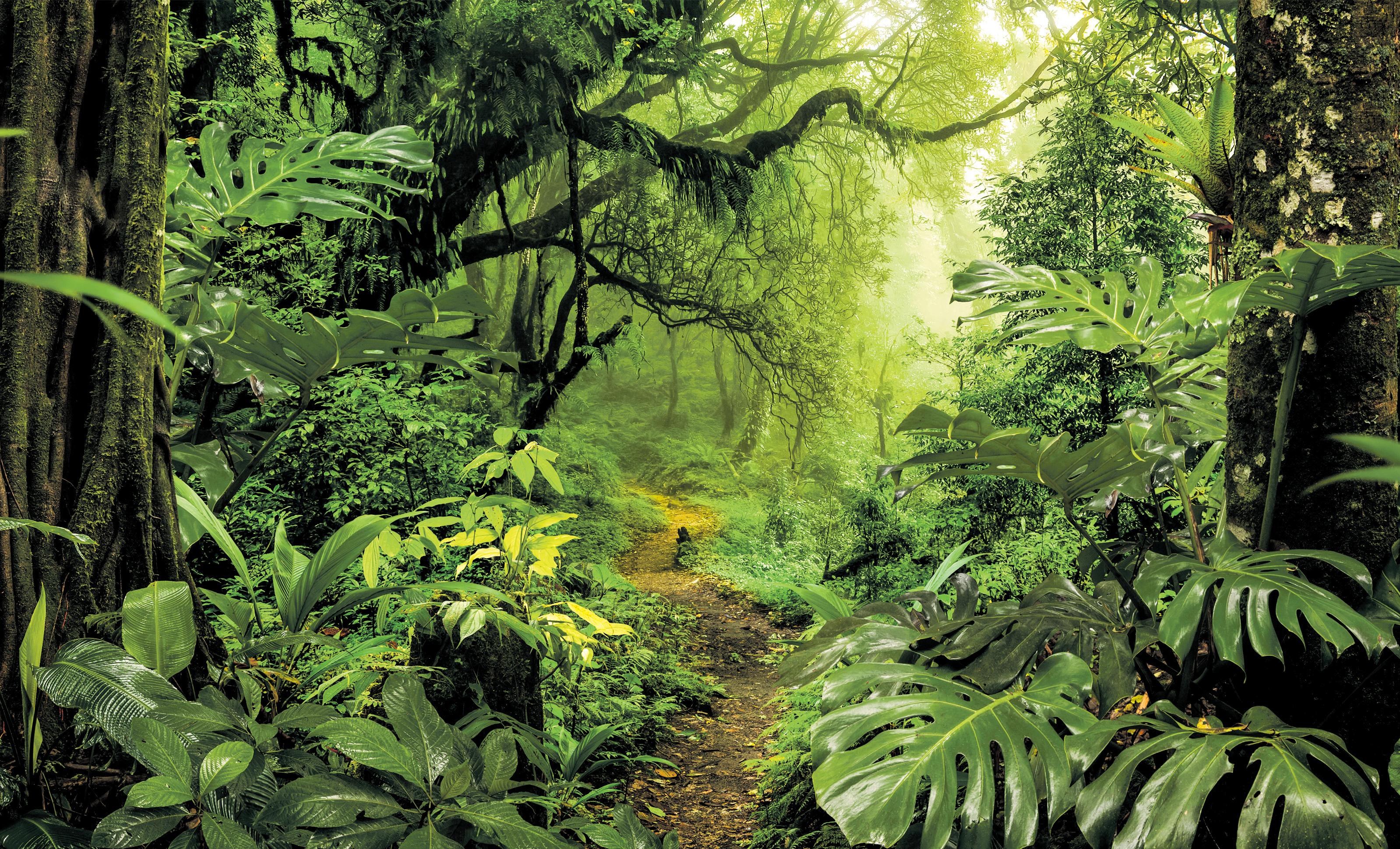 Nowhere to hide Alarm as mass insect die-offs hit world's most protected areas