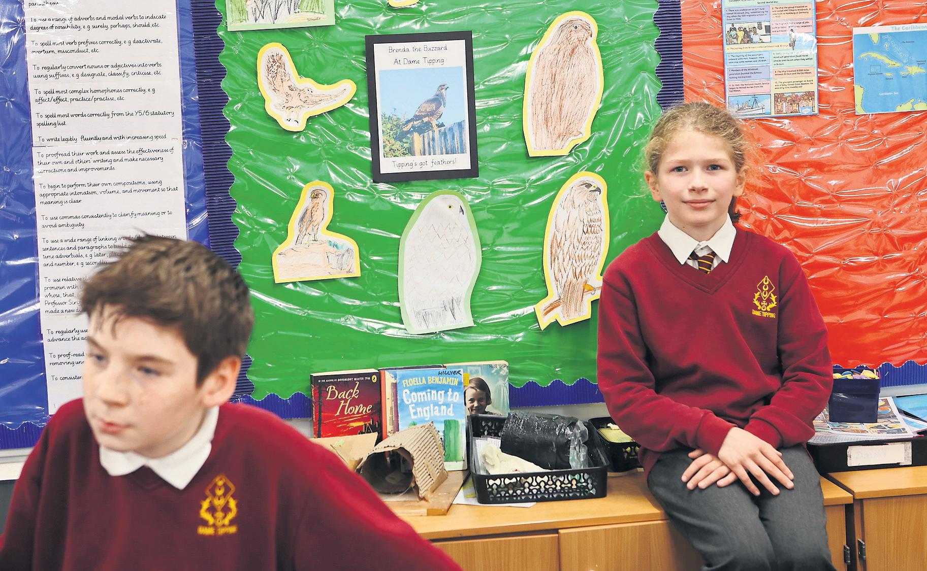 'If you hear a bird, you're on edge': primary school terrorised by Brenda the buzzard