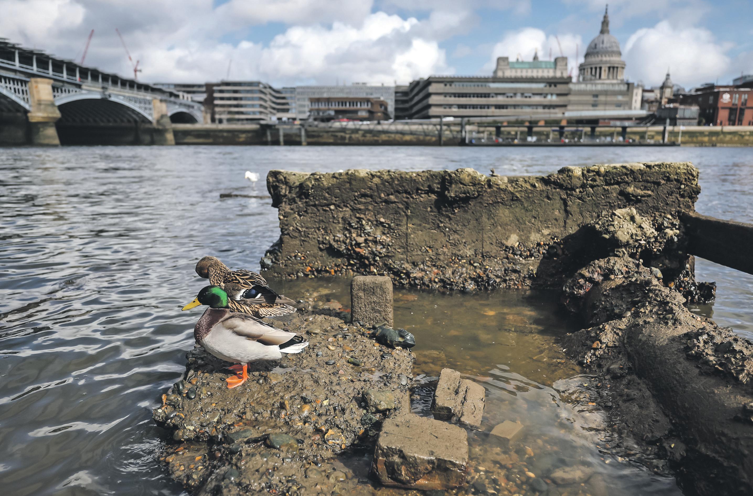 Without a paddle? As a potential buyer pulls out, Thames Water's woes deepen