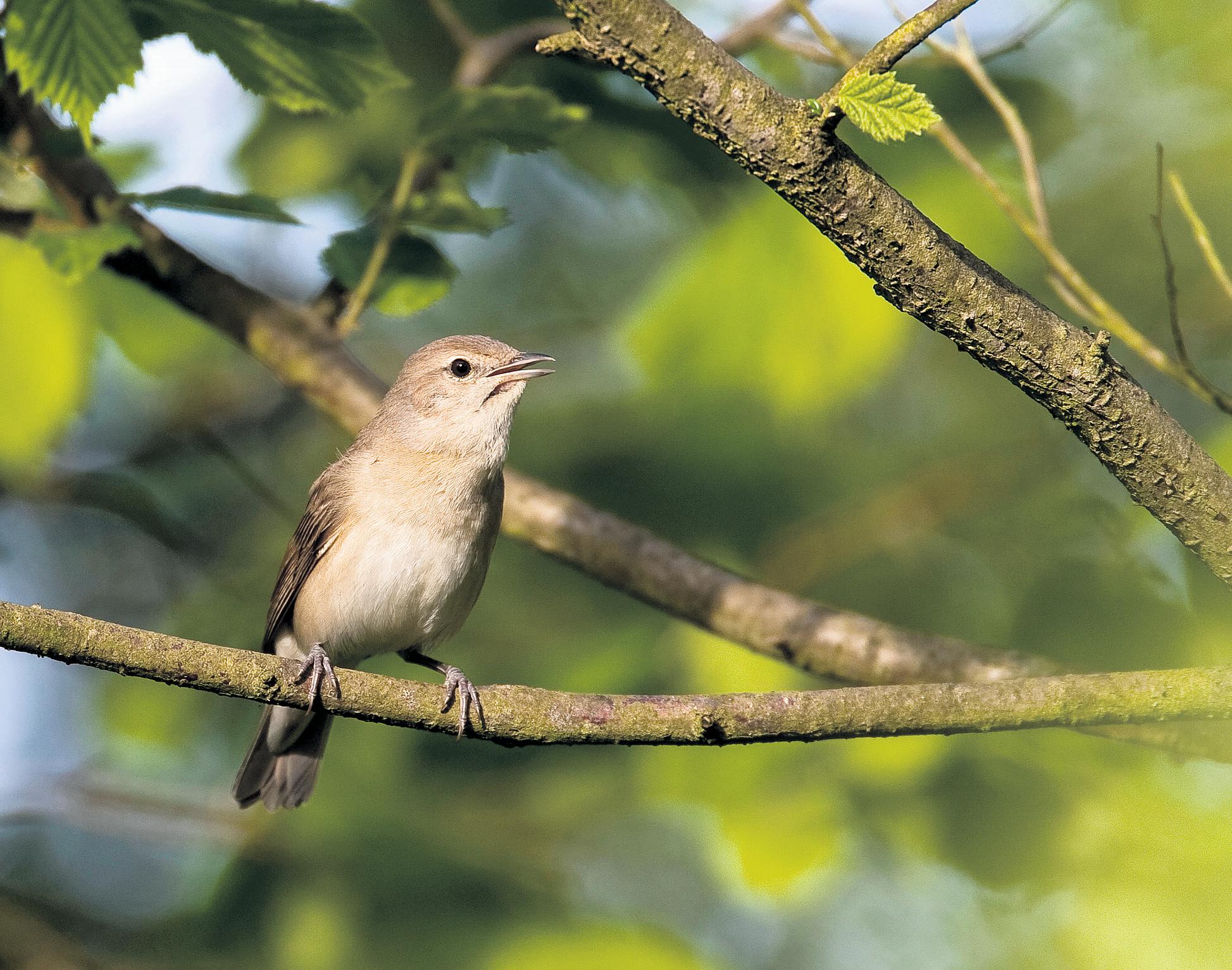 Natural England Ministers 'wrong to see nature as obstacle to new housing'
