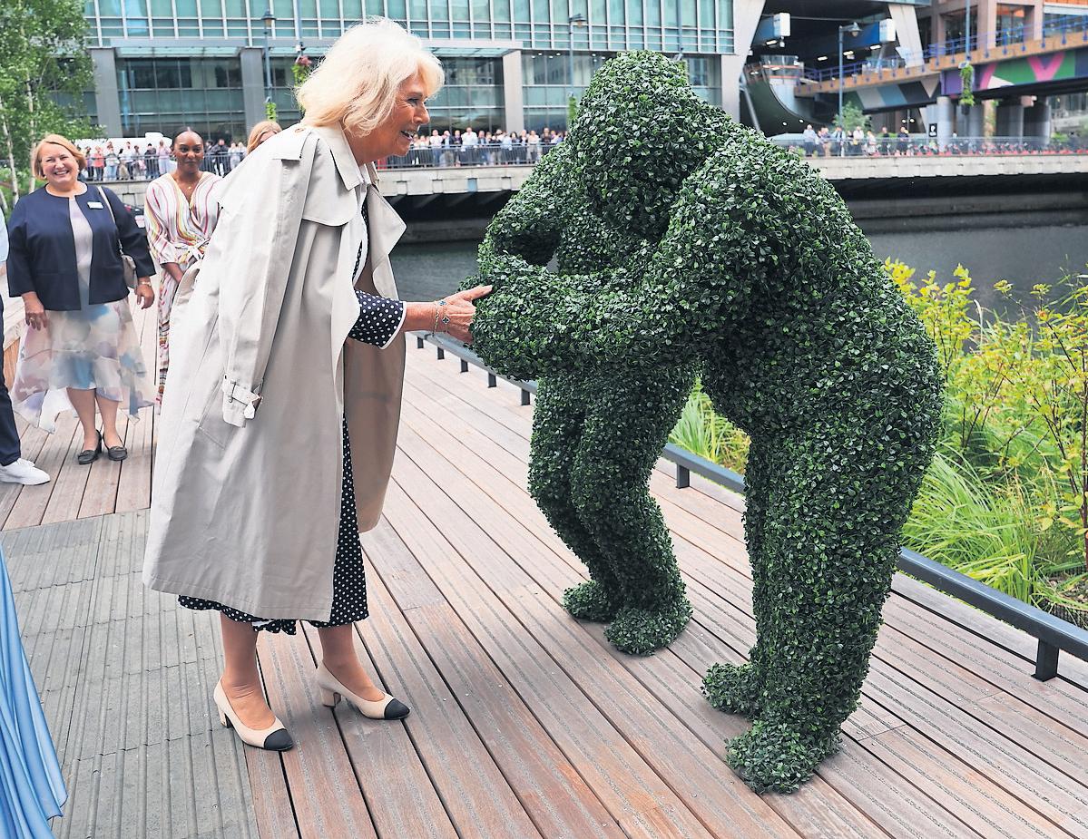 In a world of Maga merch and Musk, I'm holding on to the power of micro-joys