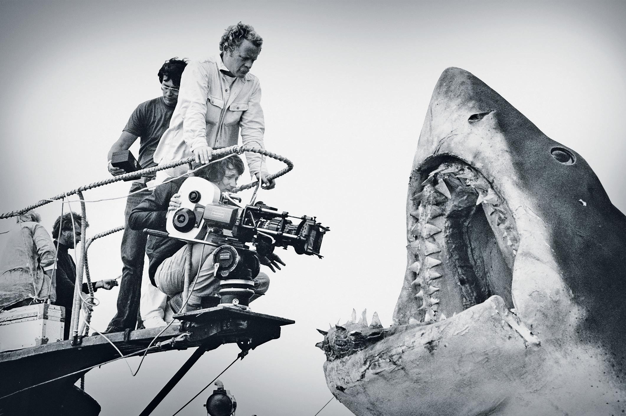 'A hit job' Fifty years after its release, how Jaws transformed the way humans view sharks