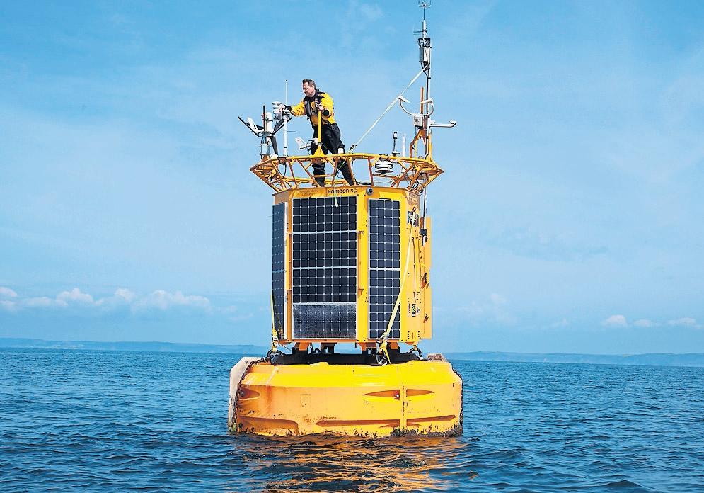 Ocean Ecosystems Face 'Ticking Bomb' as Seawater Acidity Passes Critical Level