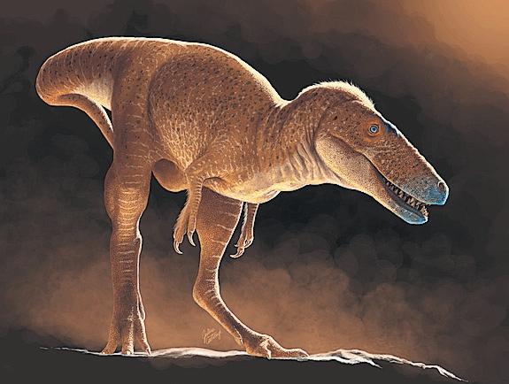 Fossils found in Mongolia 'were closest ancestors of tyrannosaurs'