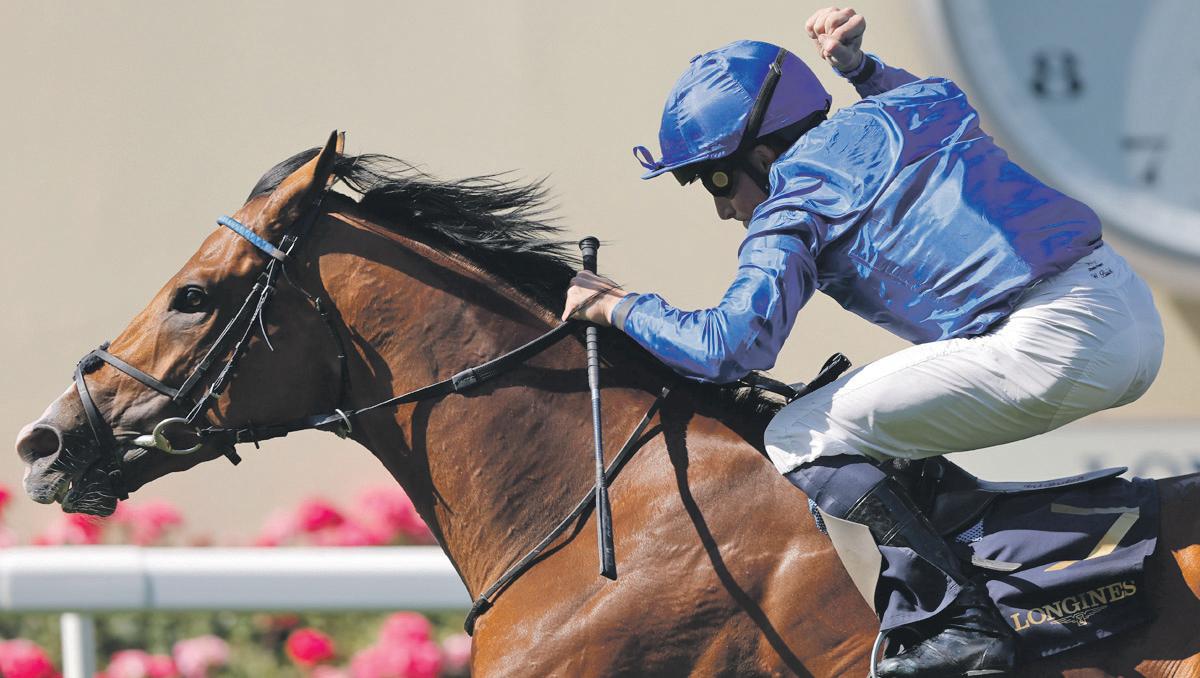 Ombudsman rules for Gosdens as trainers extend their dominance