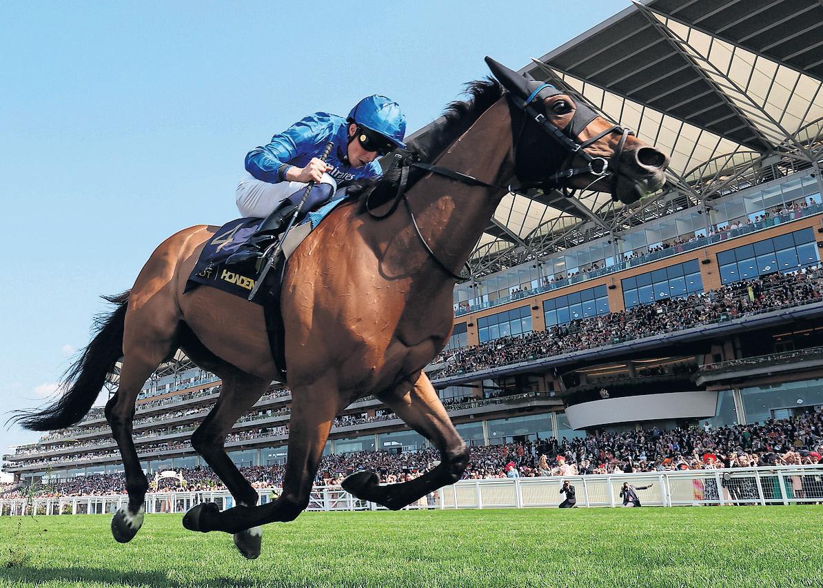 Trawlerman's romp to Gold Cup provokes memories of the greats