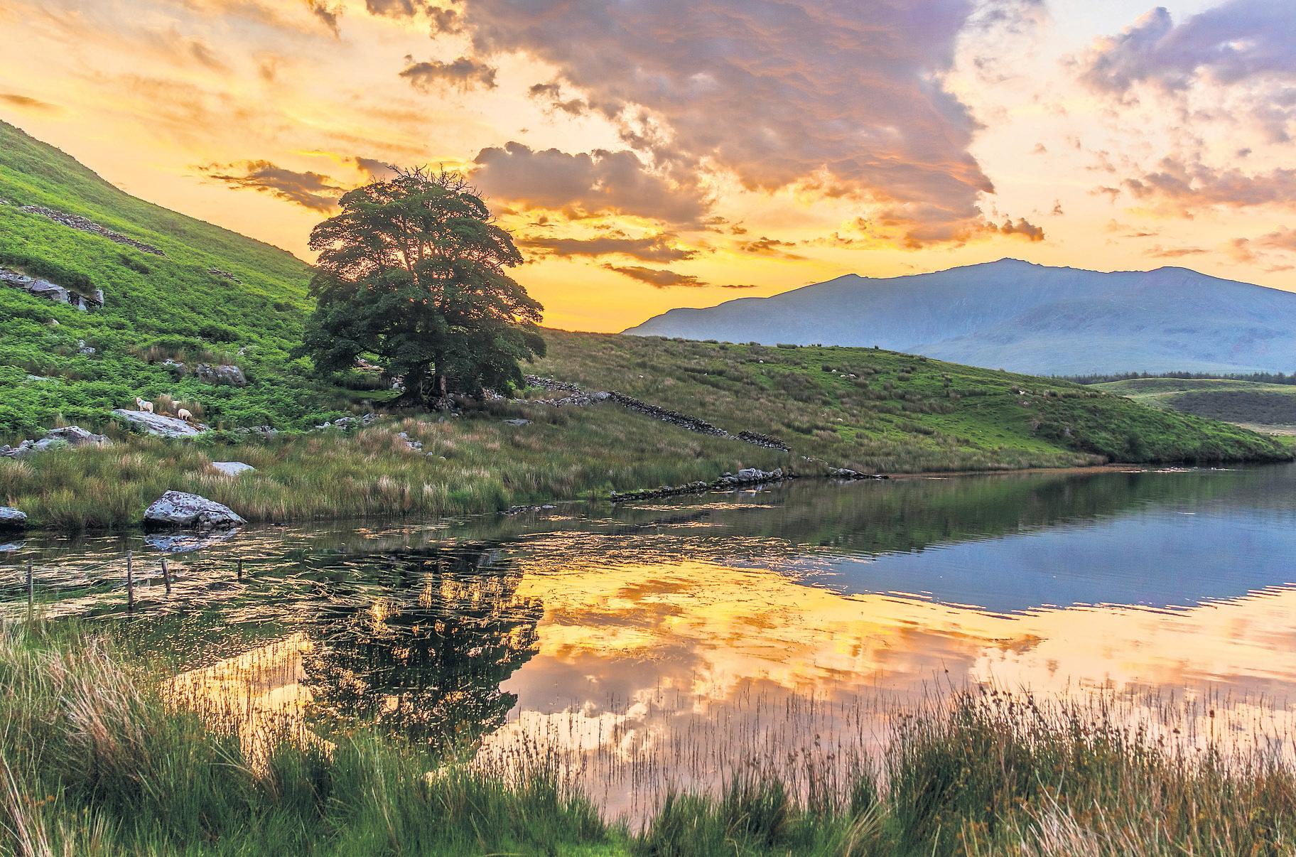 Current heatwave in England and Wales expected to kill almost 600, scientists say