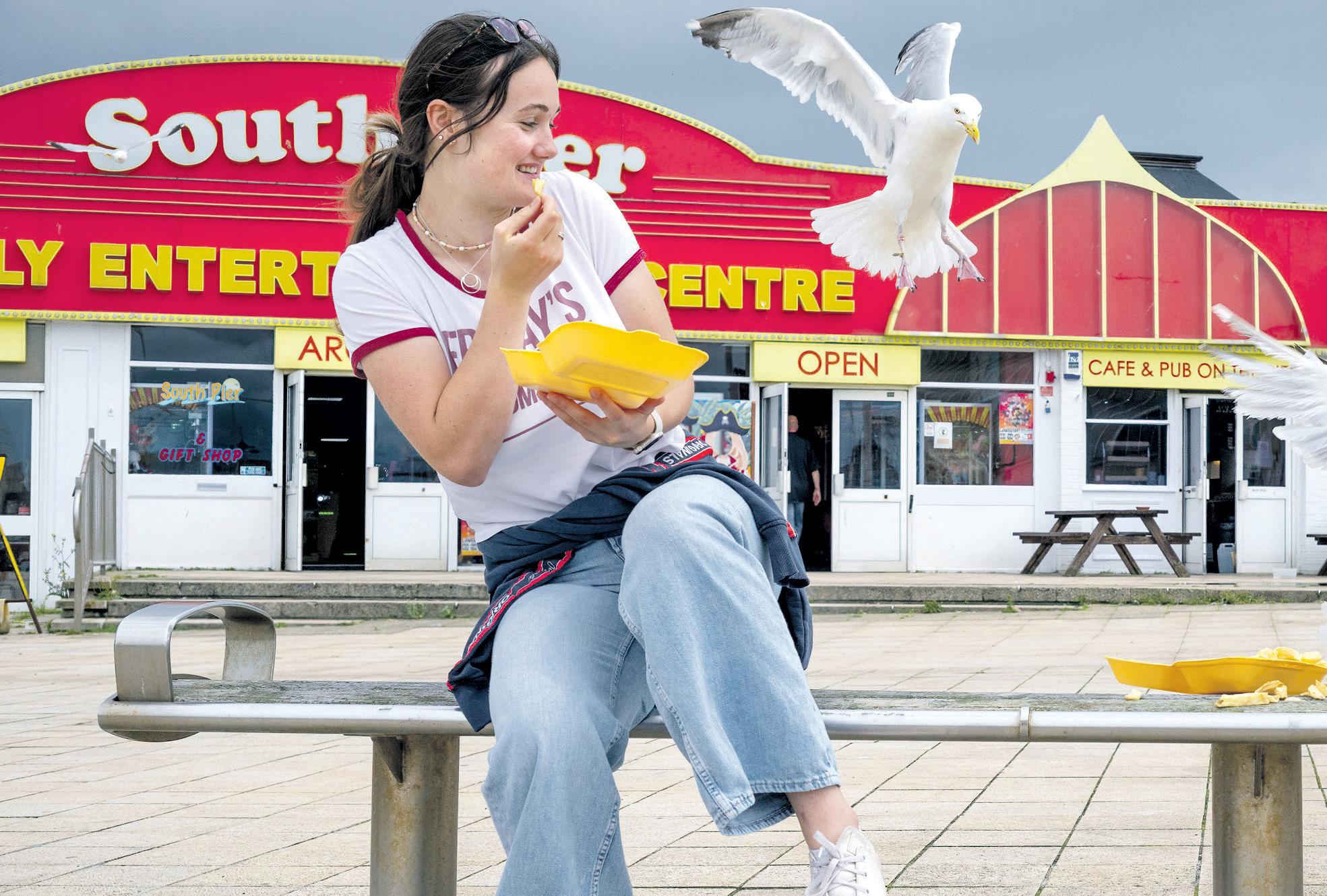 Battle of the birds