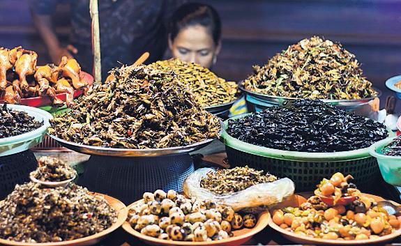 'Yuck factor' still barrier in push to swap insects for meat in diets