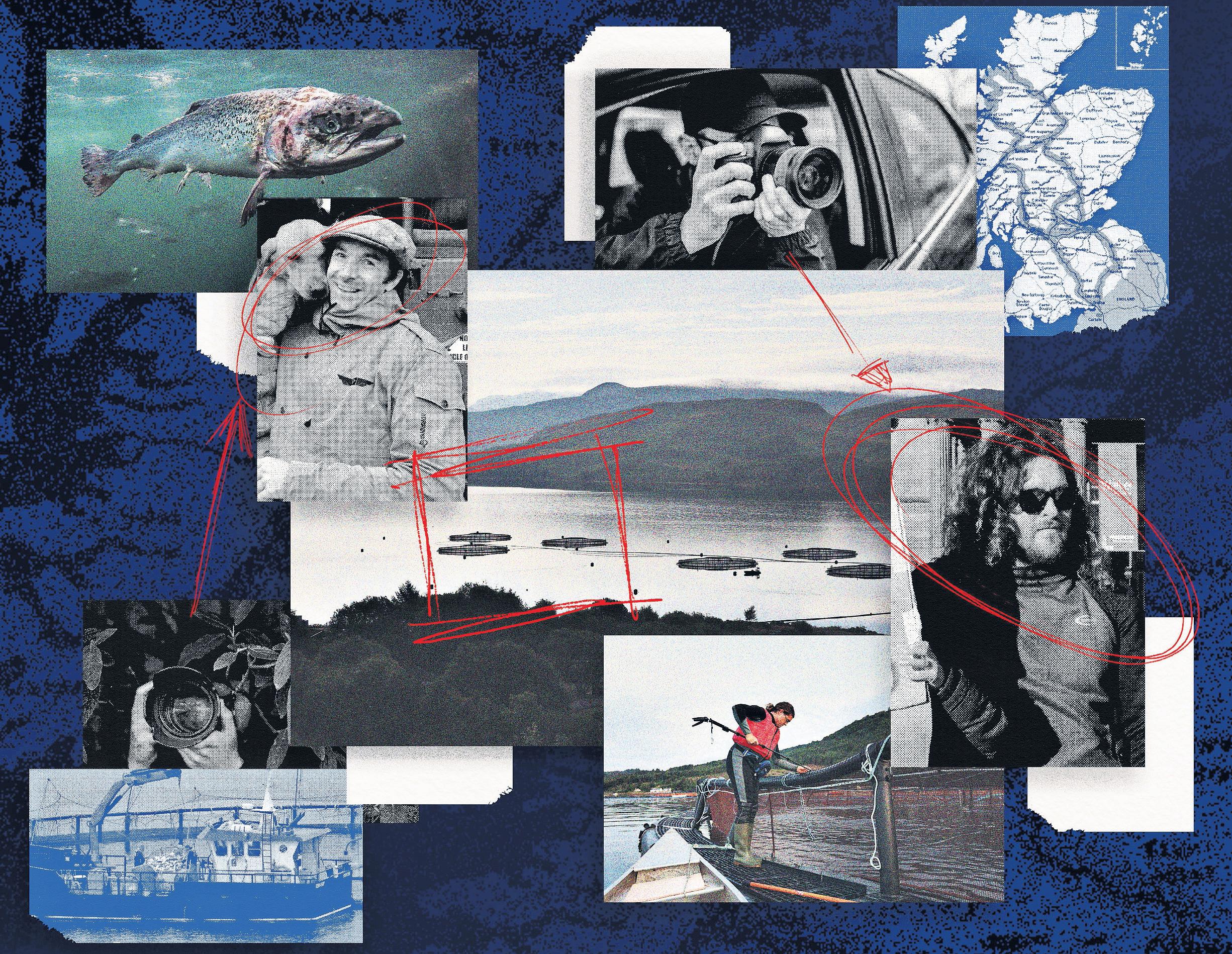 Spies for hire Big Brother tactics used on salmon farm activists