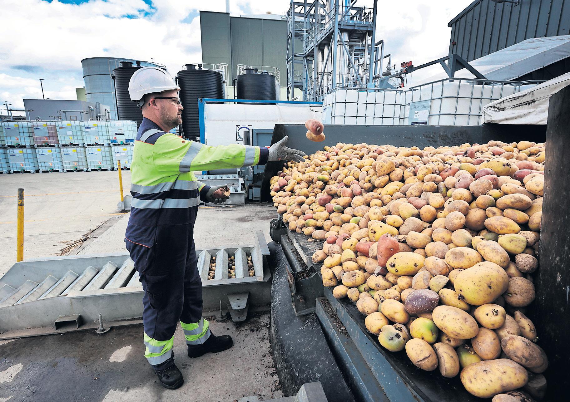 Green shoots Grangemouth attempts 'just transition' to era of jobs and hope