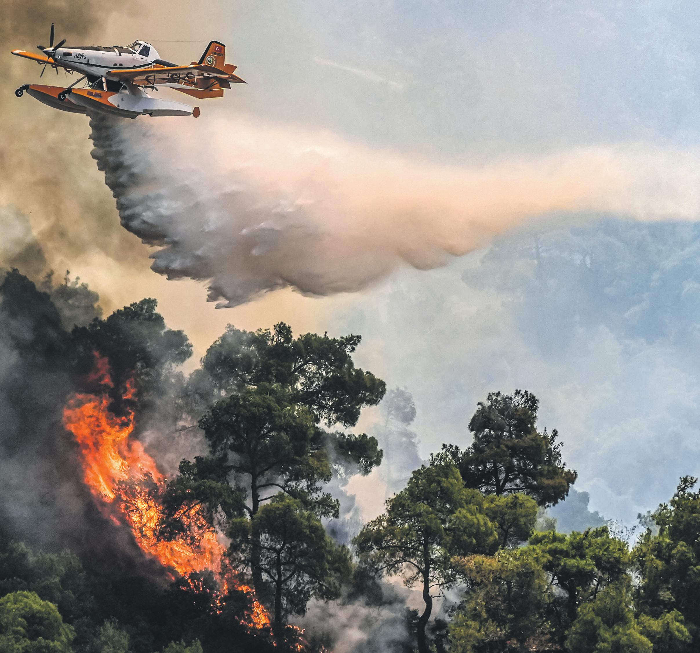 When it's 46C, it's not normal' EU's green chief calls for action