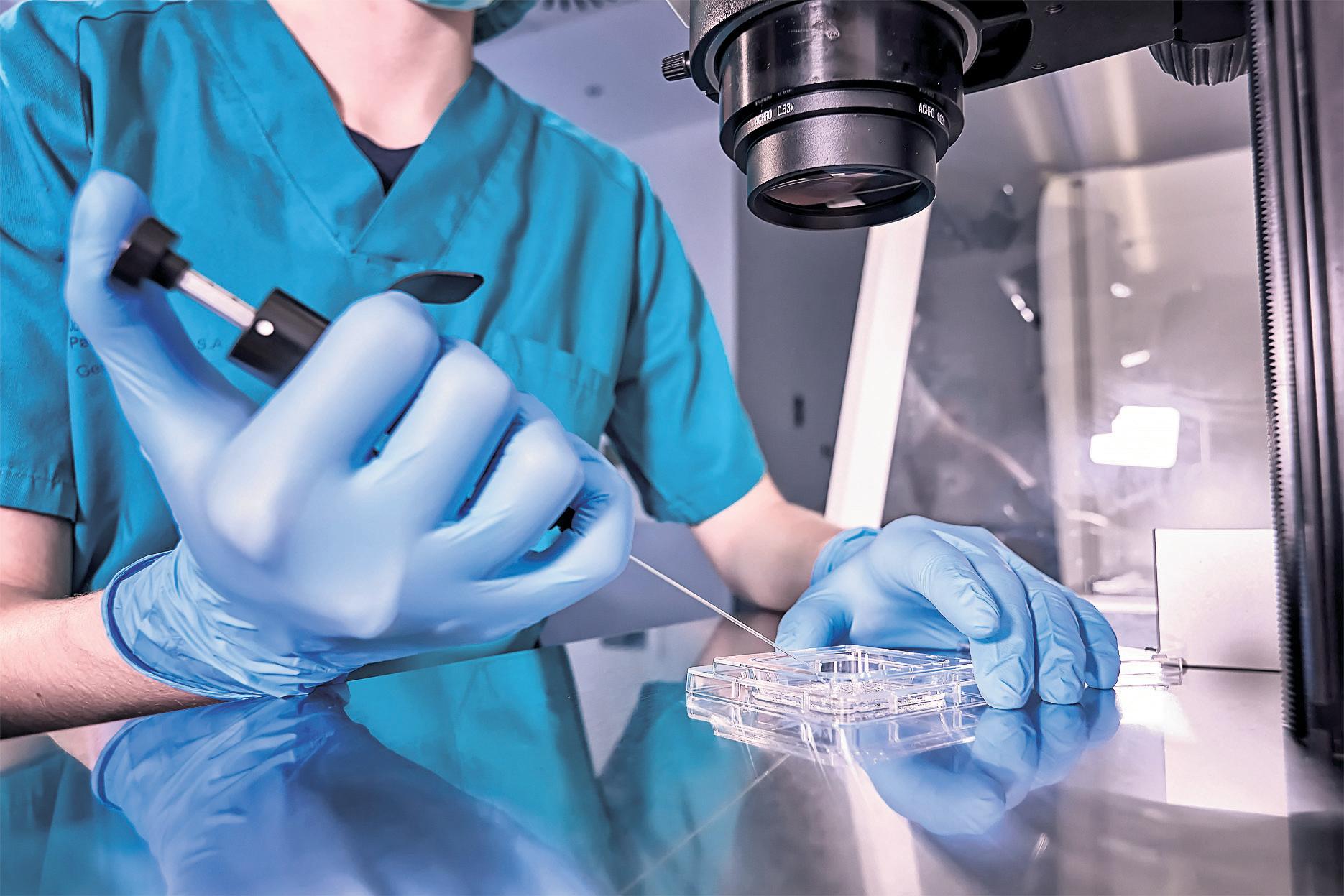 Lab-grown sperm and egg cells 'could let people of any age have children'