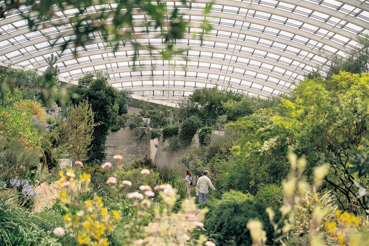 How green is the valley Welsh garden becomes thriving success story