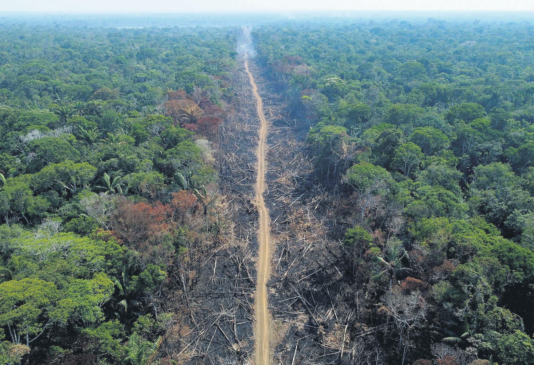 Brazil Passes 'Devastation Bill' That Erodes Environmental Protections