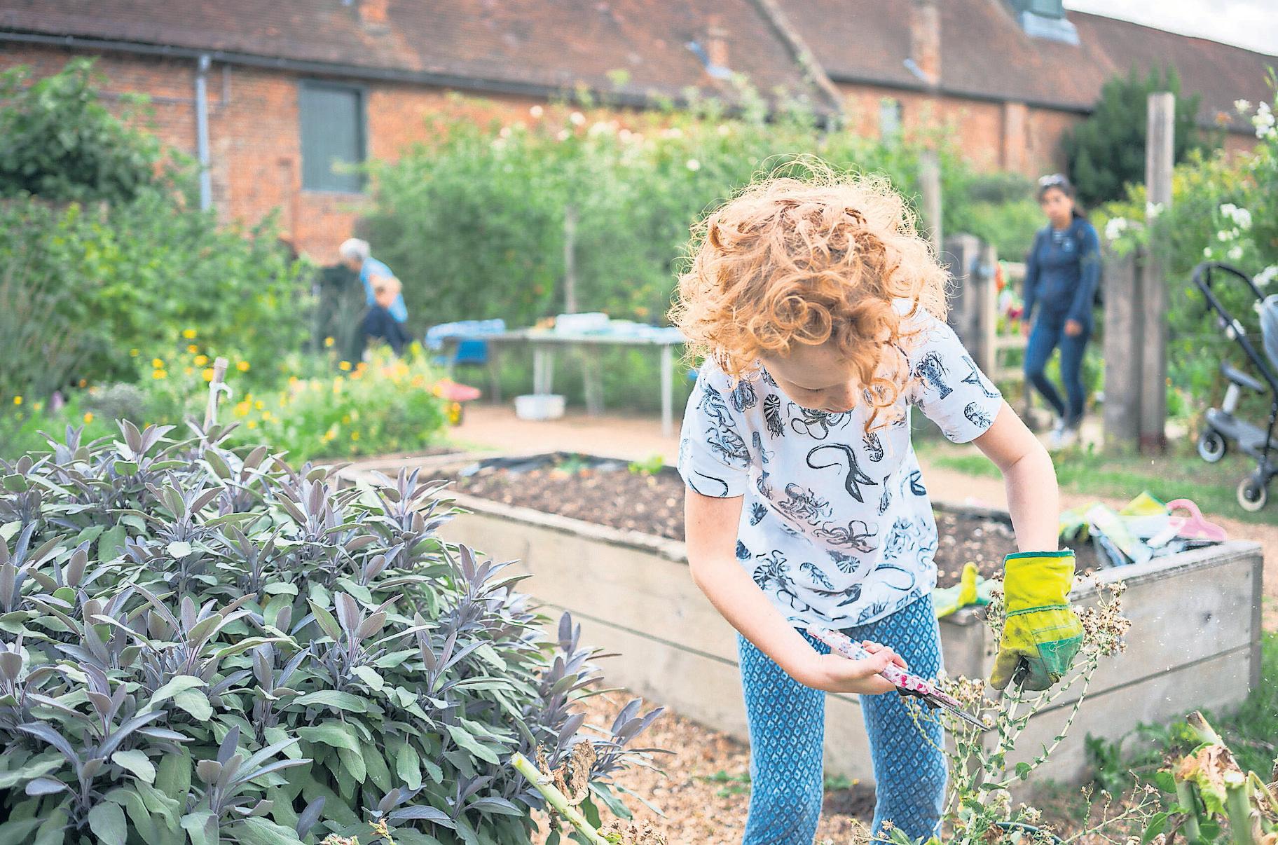 Green light for £1bn project to add nature to urban sites