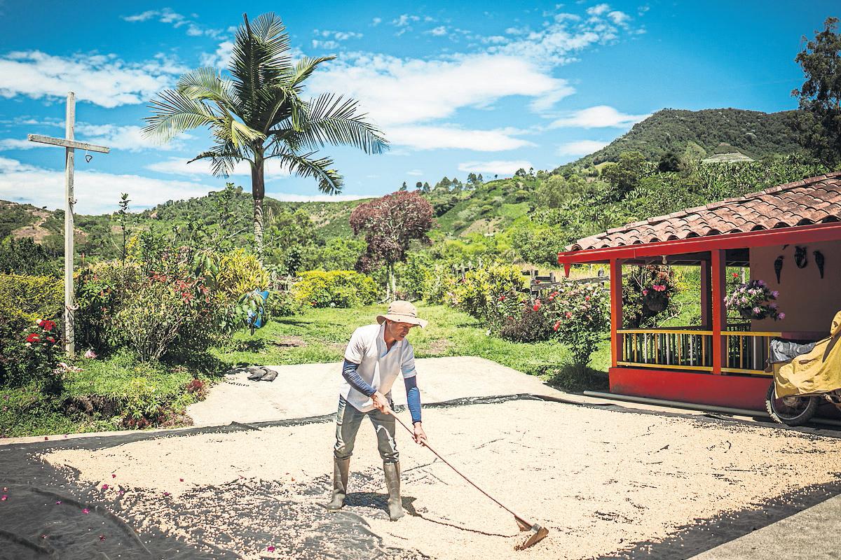 The mining 'Goliath' Colombian farmers in a battle to save their land