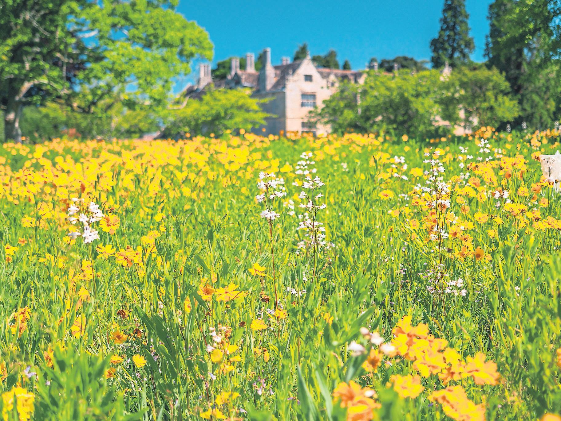 A changing climate Planting seeds for survival of historic English gardens