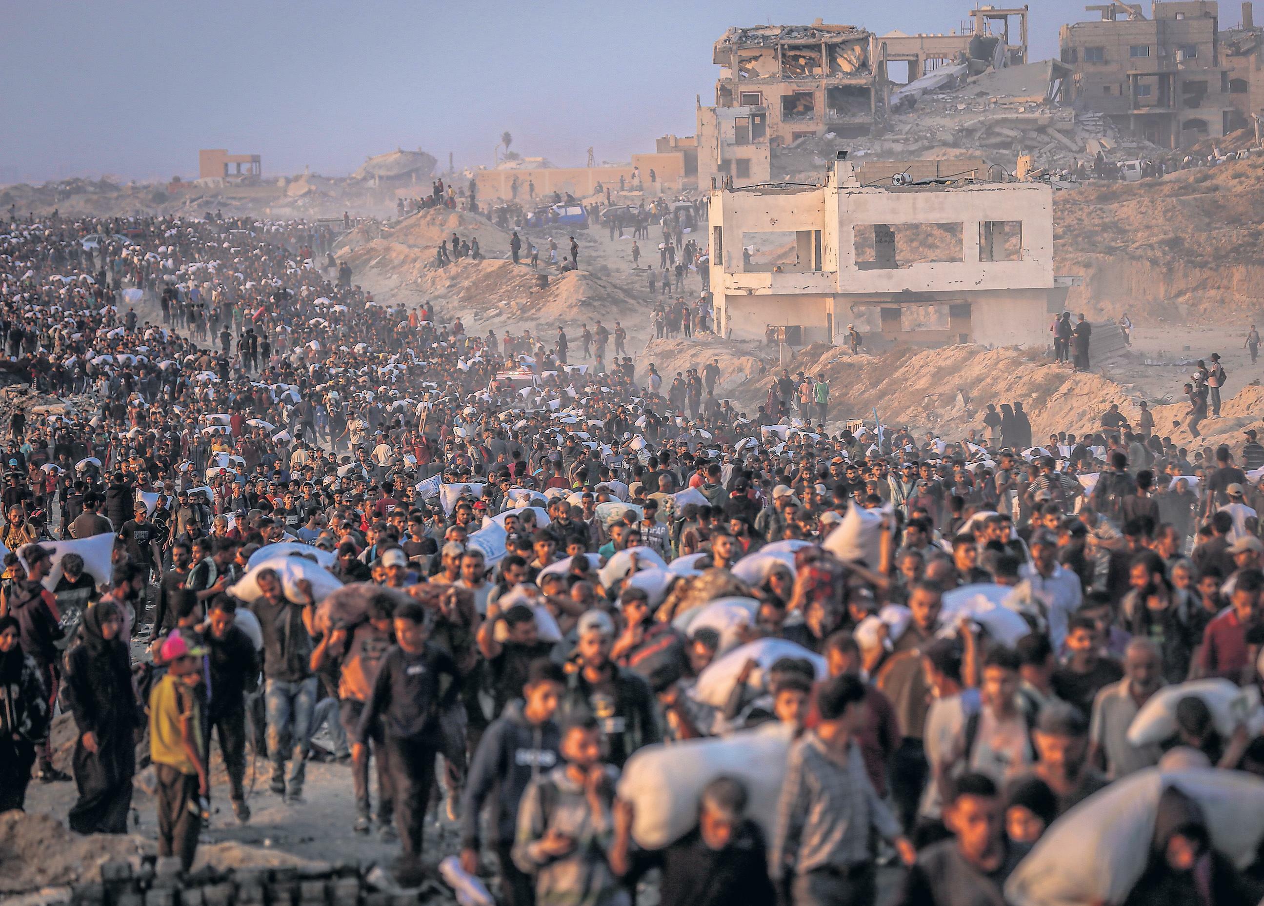 Eleven-minute race for food How Gaza aid points became 'death traps'